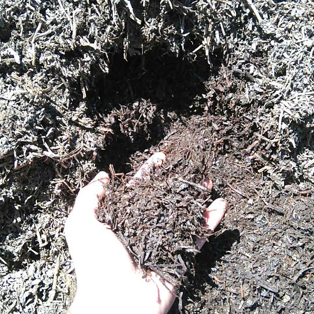 Mushroom compost