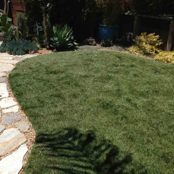 Natural sod-central home supply, santa cruz ca