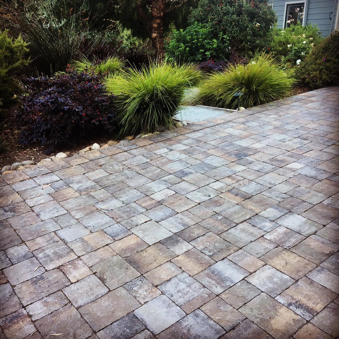 Image of a walkway with interlocking pavers